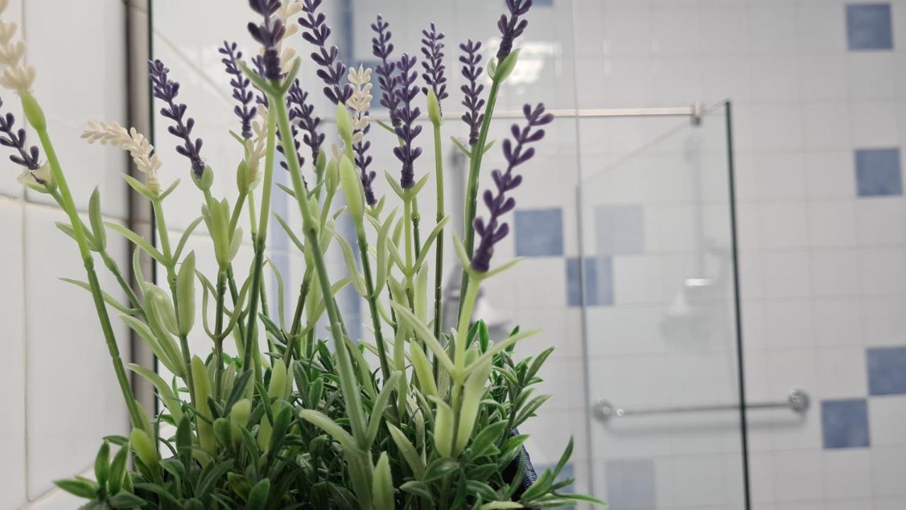 Apartamento Vista Douro E Mar Porto Eksteriør bilde